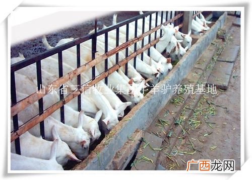 种类 特种养殖种类