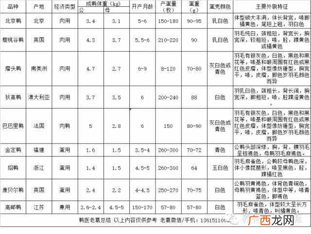 鸭子是什么季节的动物 鸭子是什么意思