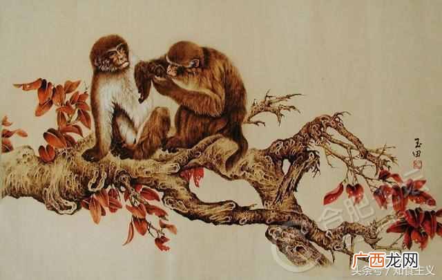 安徽合肥有什么特产小吃可以带回家的（盘点合