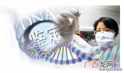 费用大概是多少 亲子鉴定需要什么手续