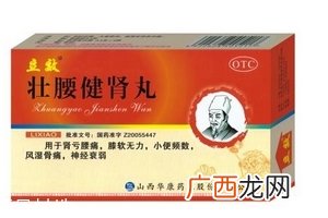 壮腰健肾丸说明书说明书很重要