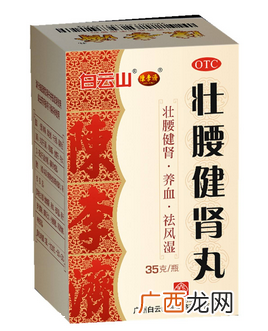 壮腰健肾丸是中药吗？是中药成分