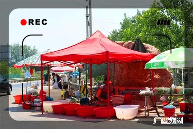 短期干什么来钱快 干什么来钱快不用投资