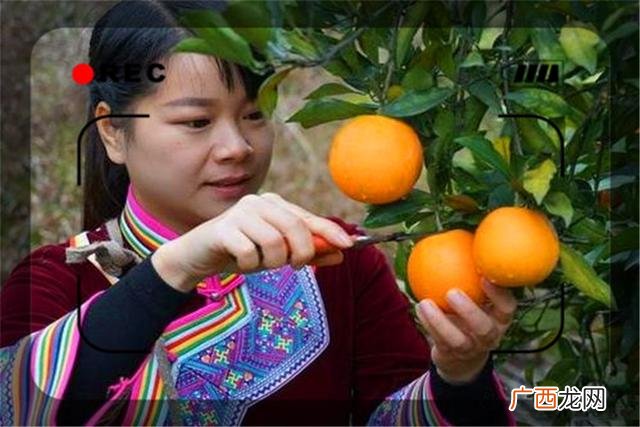 短期干什么来钱快 干什么来钱快不用投资