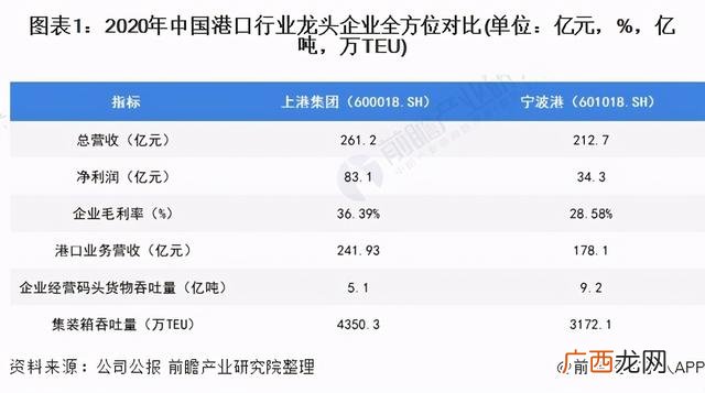 2021最有潜力的上市公司 2021年行业龙头股票