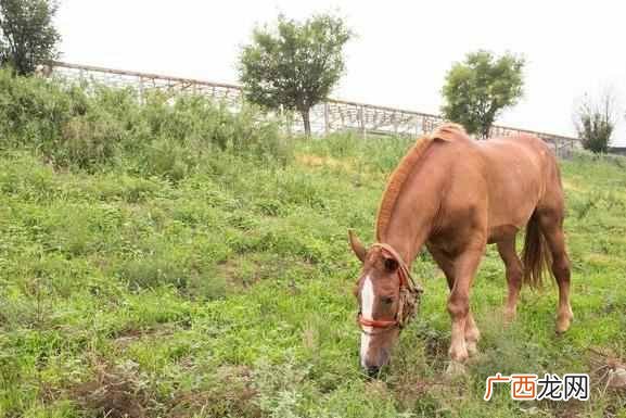 摄影入门知识篇 数码相机18-55mm镜头什么意思