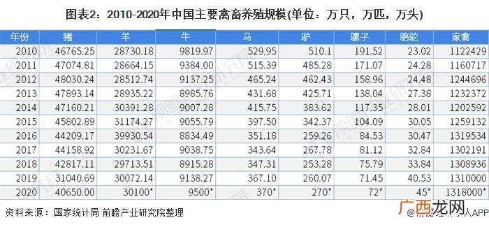 北方的特种养殖有哪些品种 畜牧特种养殖品种