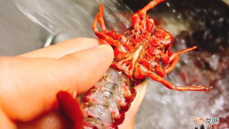龙虾好养殖吗 小龙虾现在都是养殖吗