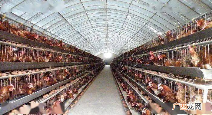 牛棚潮湿怎么解决 养殖大棚潮湿怎么处理