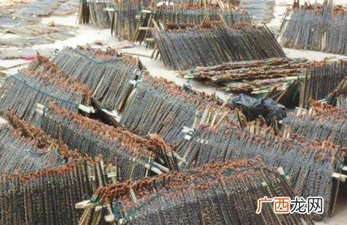 特色美食小吃 养殖什么特色