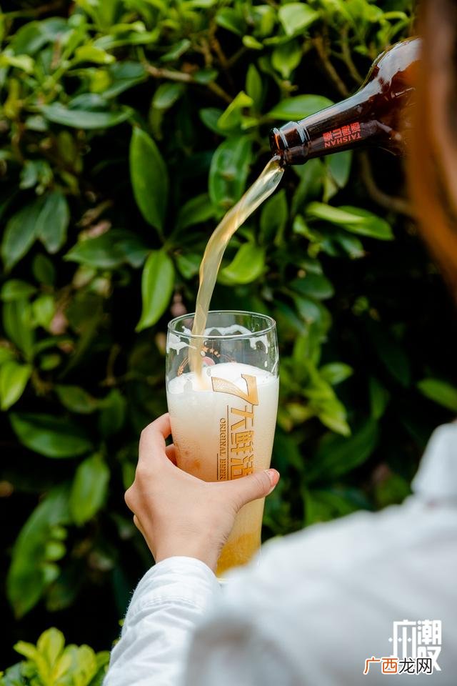 泰安啤酒 山东啤酒厂家联系方式