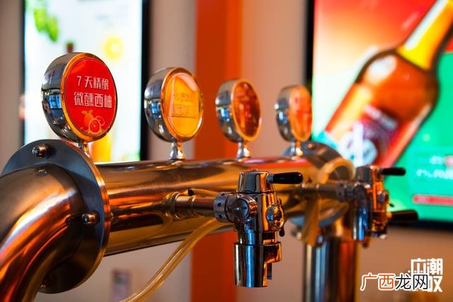 泰安啤酒 山东啤酒厂家联系方式