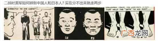 国历和农历有什么区别 国历是什么意思