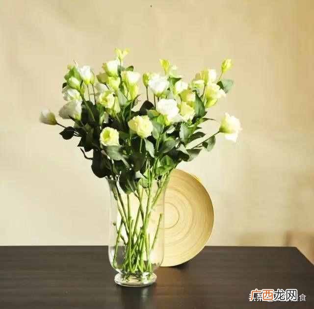 史上最全花语 情人节送什么花