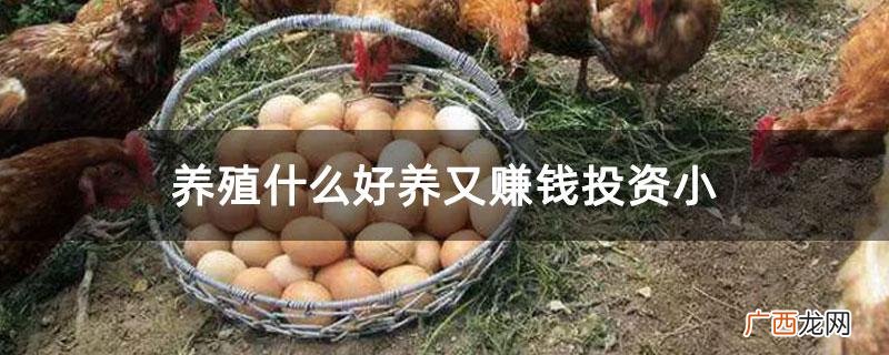 什么是投资 养殖投资吧