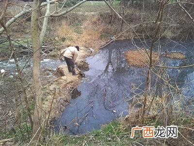养殖交流平台 养殖网论坛