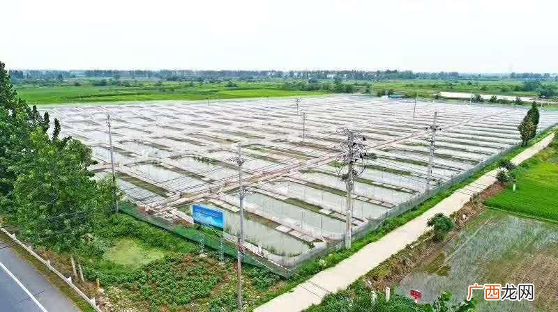 养鱼利润 一亩金鱼养殖利润