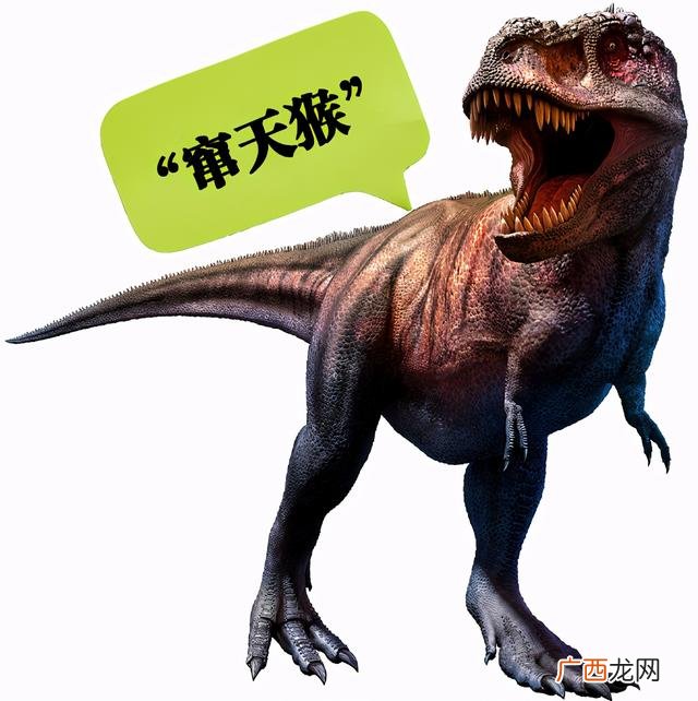 名单 碳中和龙头10股一览表,a股各行业龙头股一览