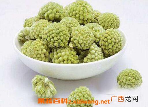 绿萝花的功效与作用