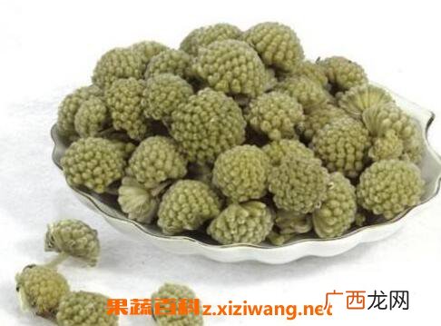 绿萝花的功效与作用