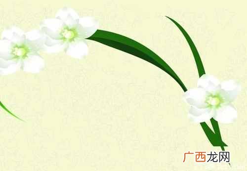 墙纸价格多少钱一卷，墙纸价格图片大全便宜！