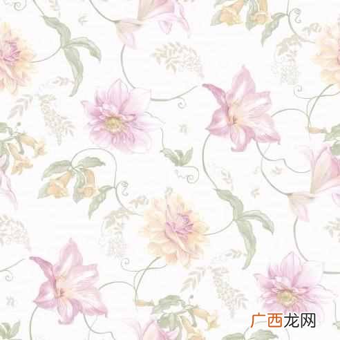 壁纸价格一般多少钱一卷，壁纸批发哪里最便宜