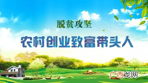 本人养了野猪没销路 致富经经养殖野猪