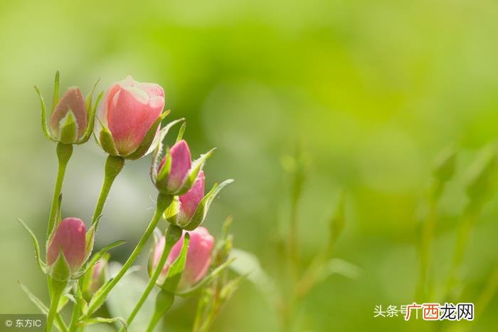心痛了用沉默代替一切 用沉默代替一切的说说