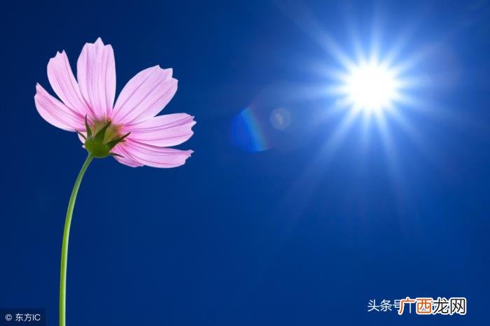 心痛了用沉默代替一切 用沉默代替一切的说说