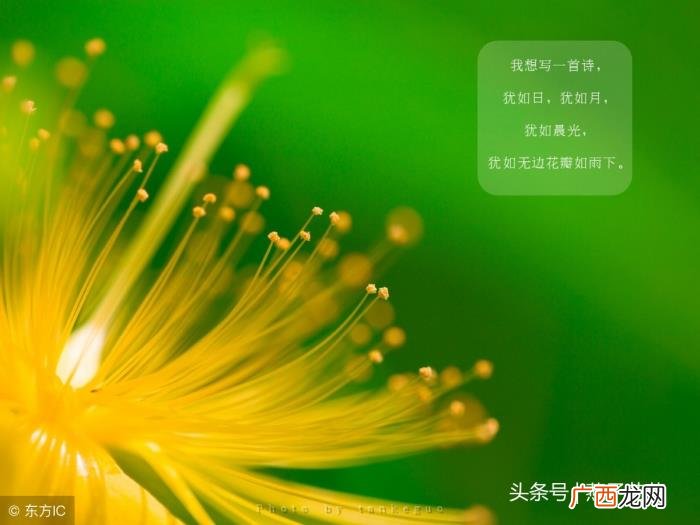 心痛了用沉默代替一切 用沉默代替一切的说说