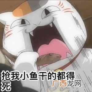 三次元什么意思，二次元和三次元有什么区别！