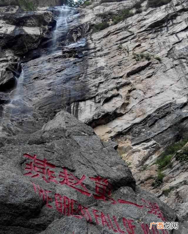 什么是生态系统,生态系统有哪些特征!