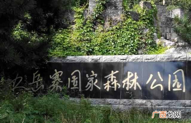 什么是生态系统,生态系统有哪些特征!