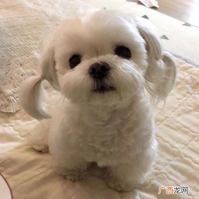 风水微信名带来好运,象征财运的微信名字