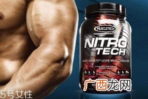 肌肉科技蛋白粉保质期
