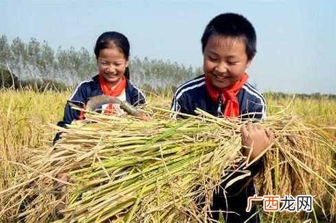 元亨利贞什么意思，元亨利贞到底是讲什么！