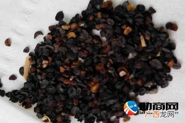 康乃馨代表什么意思，康乃馨花语大全！