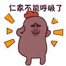 柳絮是什么树上的，为什么会引起过敏！