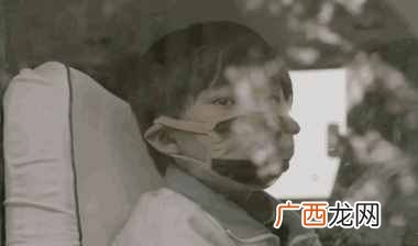 柳絮是什么树上的，为什么会引起过敏！