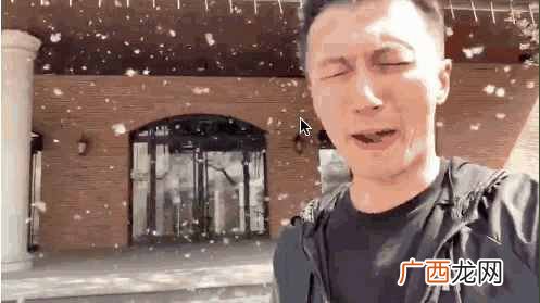 柳絮是什么树上的，为什么会引起过敏！