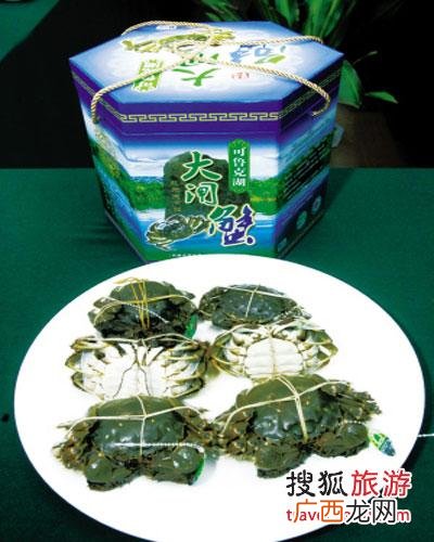 大闸蟹养殖技术 大闸蟹养殖专业合作社
