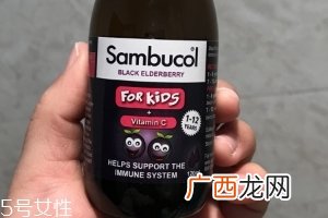sambucol黑接骨木果味糖浆功效