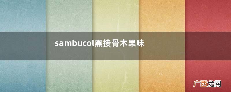 sambucol黑接骨木果味糖浆功效