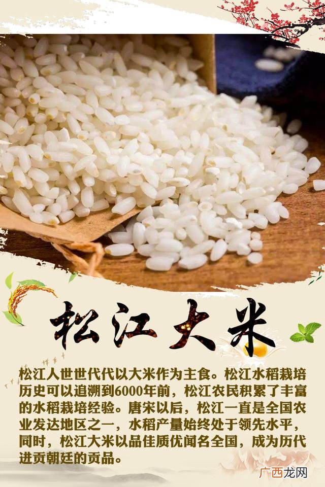 上海十大特产,上海知名幼儿园有哪些