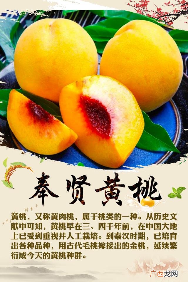 上海十大特产,上海知名幼儿园有哪些