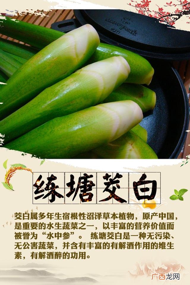 上海十大特产,上海知名幼儿园有哪些