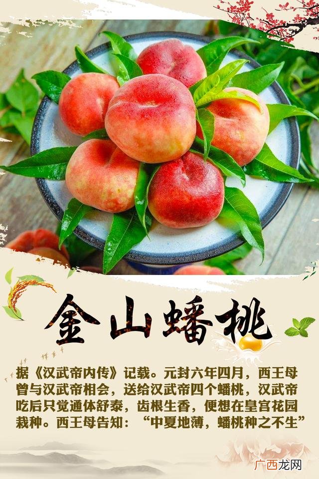 上海十大特产,上海知名幼儿园有哪些