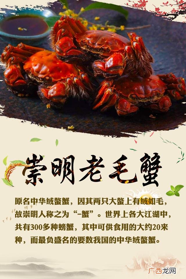 上海十大特产,上海知名幼儿园有哪些