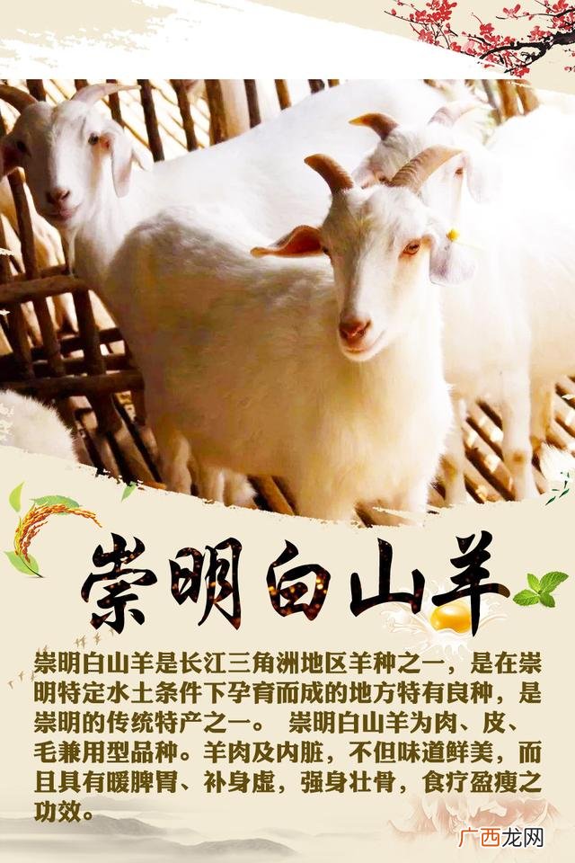 上海十大特产,上海知名幼儿园有哪些