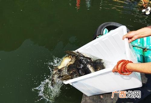 现在搞什么养殖业好 搞养殖是造业